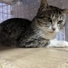  サムネイル5