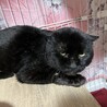  サムネイル3