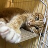  サムネイル3