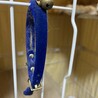  サムネイル4