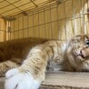  サムネイル6
