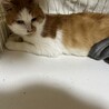  サムネイル3