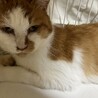  サムネイル4
