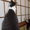  サムネイル4