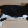  サムネイル3