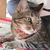 サムネイル2