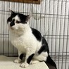  サムネイル3
