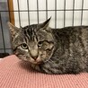  サムネイル2