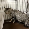  サムネイル3
