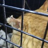  サムネイル5