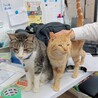  サムネイル2