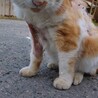  サムネイル6