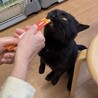  サムネイル3