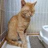  サムネイル3