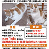  サムネイル2