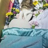  サムネイル2