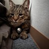  サムネイル2