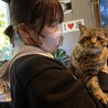  サムネイル3