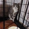  サムネイル2