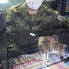  サムネイル4
