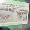  サムネイル5