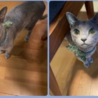 サムネイル2