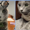  サムネイル3