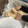  サムネイル2