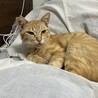  サムネイル3