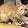  サムネイル4