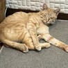  サムネイル5