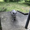  サムネイル2