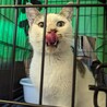  サムネイル2