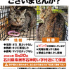  サムネイル5