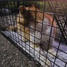  サムネイル2