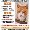  サムネイル3