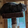  サムネイル4
