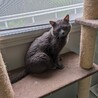  サムネイル5