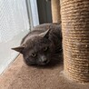  サムネイル6