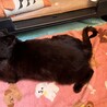  サムネイル2