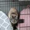  サムネイル2