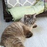  サムネイル3