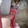  サムネイル5