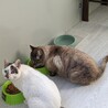  サムネイル6