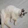  サムネイル5