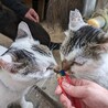  サムネイル7