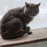  サムネイル4