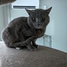  サムネイル5