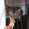  サムネイル2