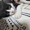  サムネイル2
